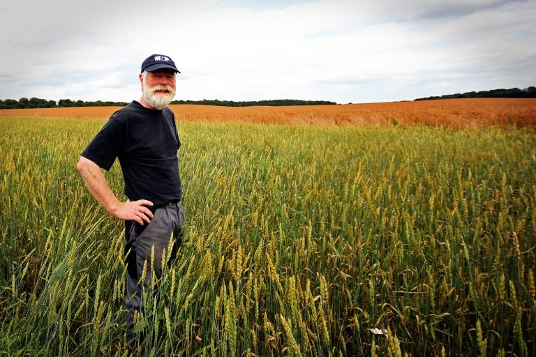 Aziende Agricole